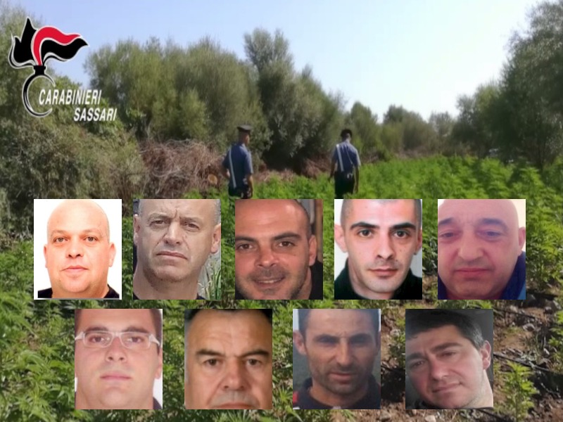 Maxi blitz antidroga in tutta la Sardegna: 8 arresti, 25 denunce, 150 carabinieri in campo con elicotteri e cani