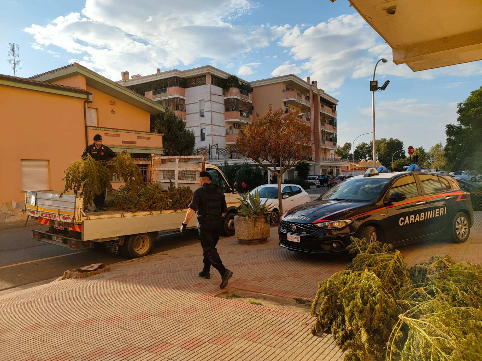 Una serra di droga nell’ovile a Sestu, allevatore arrestato dai carabinieri