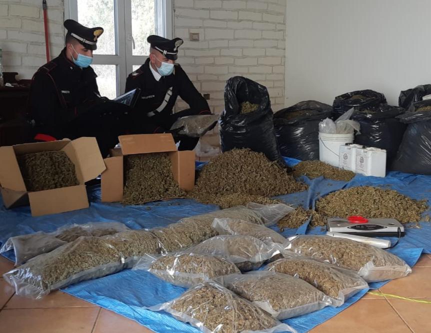 Sequestrati 35 kg di marijuana a Villasor: due arresti
