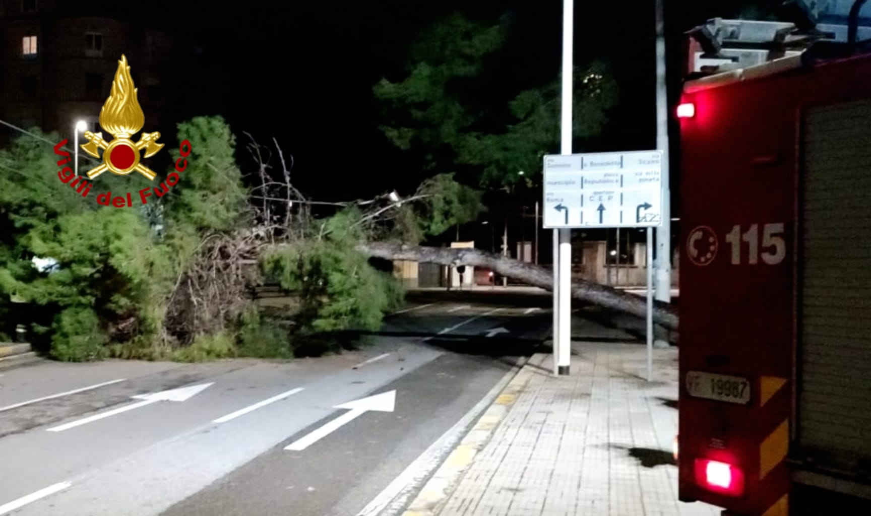 Maltempo a Cagliari, crolla un pino secolare in viale Cimitero