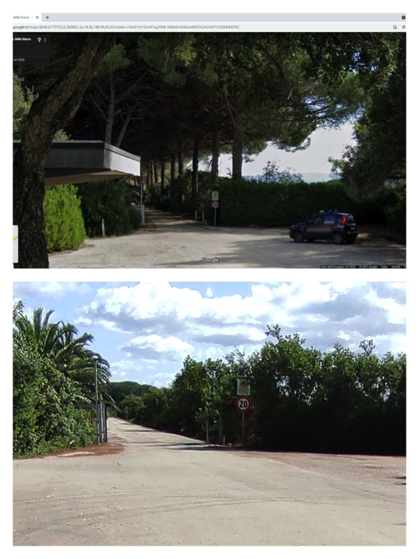 Sassari, la denuncia del Grig: “Perché tagliare centinaia di alberi ad alto fusto?”