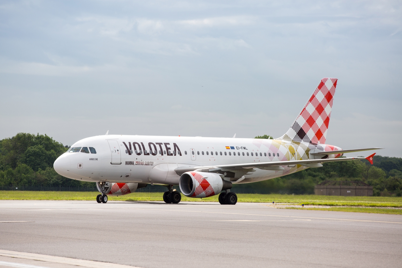 Cagliari, svolta sui voli Volotea: ora anche i cani e i gatti e tutti gli animali viaggeranno in aereo
