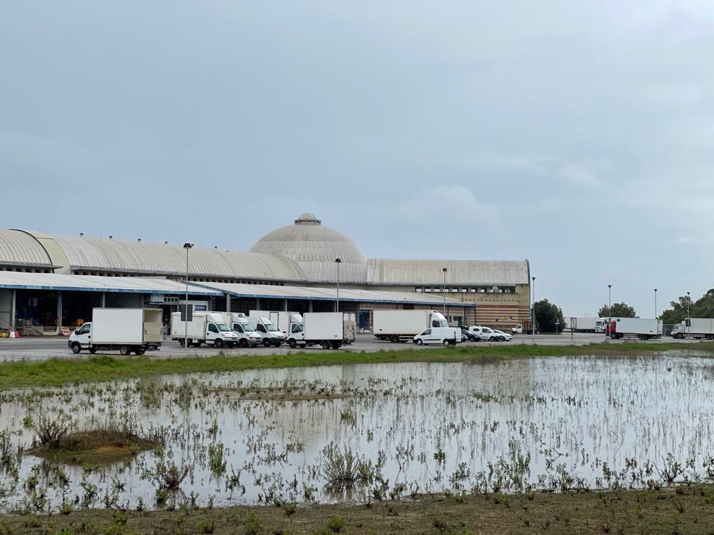 Sestu, il piazzale del mercato ortofrutticolo è una piscina: “Aspettiamo i lavori da 20 anni”