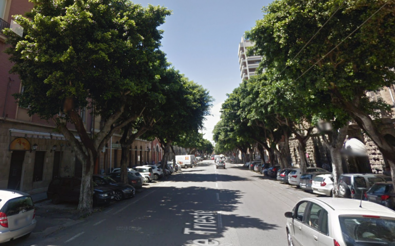 Cagliari, scatta la petizione online: “Sono lì da oltre 100 anni, salviamo gli alberi di viale Trieste”