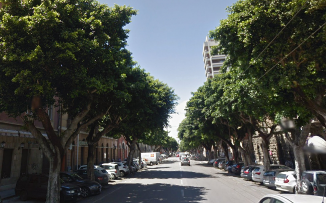 Cagliari, migliaia di cittadini chiedono a gran voce la salvaguardia dei Ficus di viale Trieste
