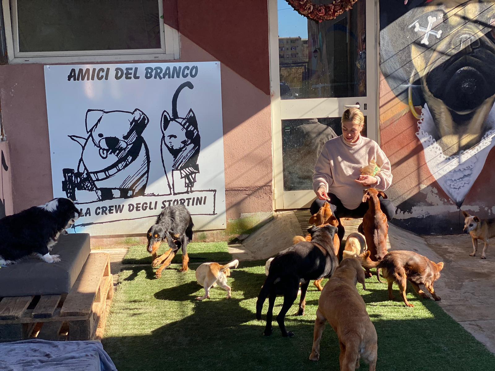 Silvia Troncia a Radio Zampetta Sarda: “La mia casa? Un ricovero per cani e gatti disabili”
