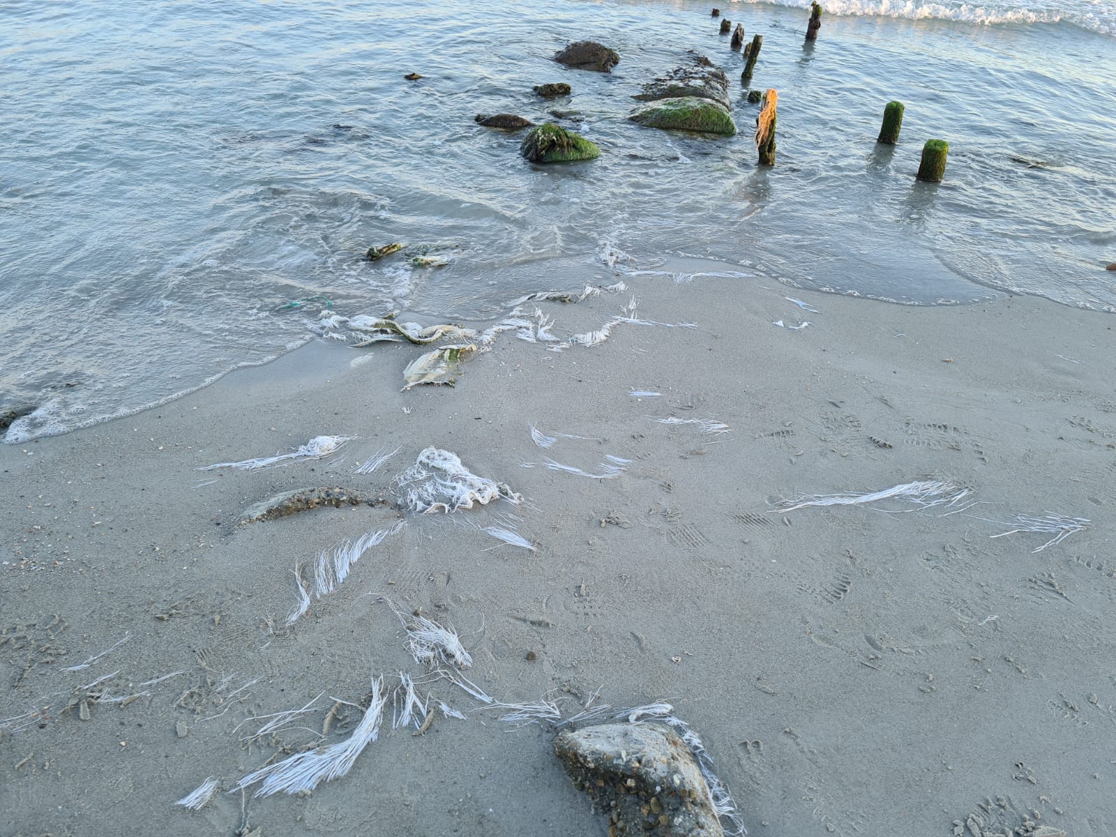 Ecologisti in rivolta a Cagliari: “Ma vogliamo togliere quella maledetta plastica dalla spiaggia del Poetto?”