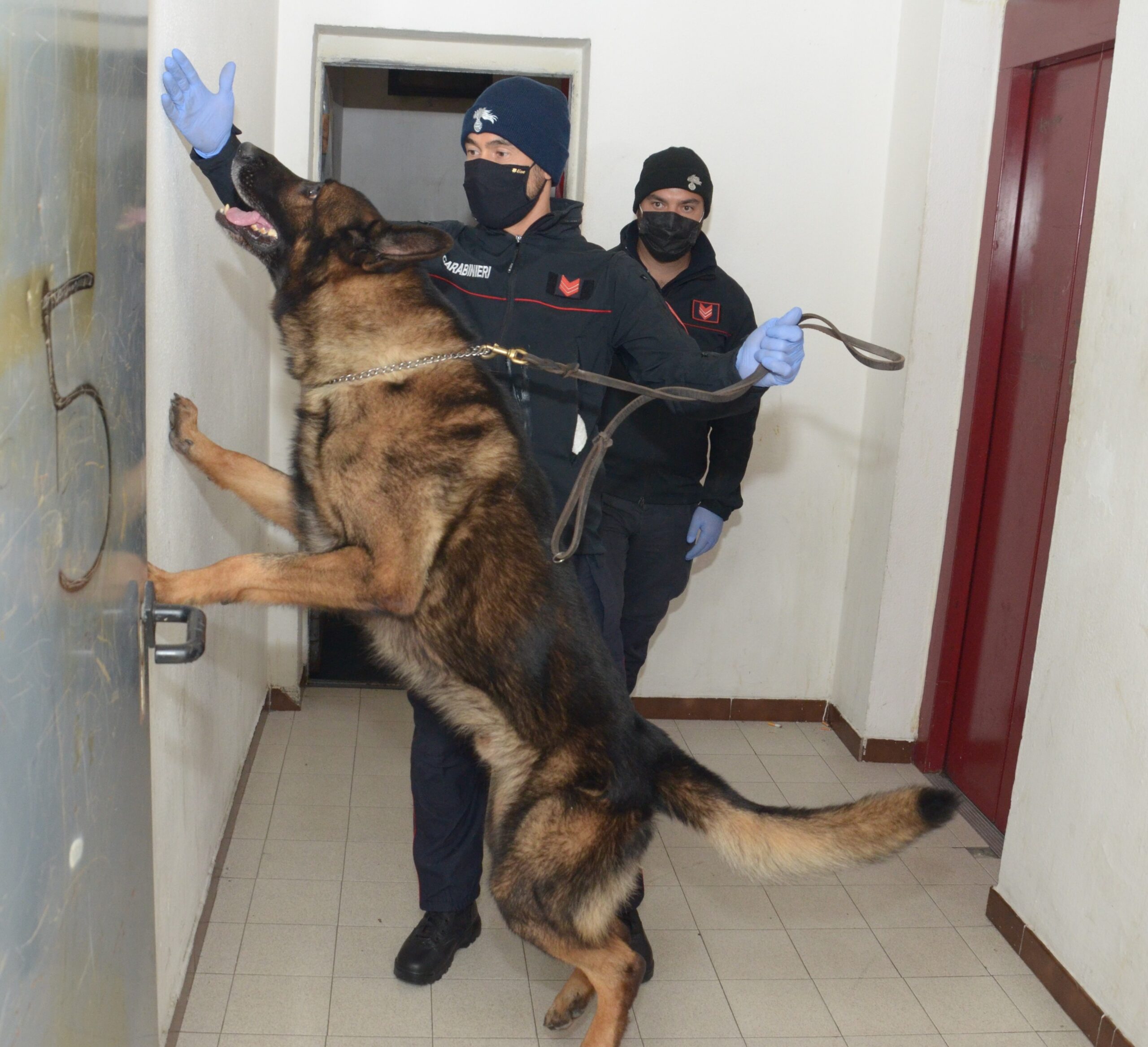 Cede un farmaco psicotropo, denunciato 31enne cagliaritano