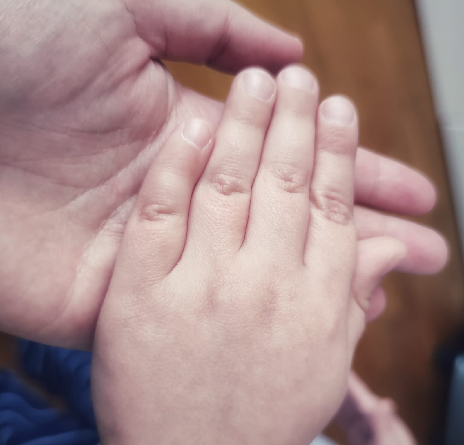 Quartu, “classe a casa per un contatto positivo: mio figlio autistico senza lezione da novembre”