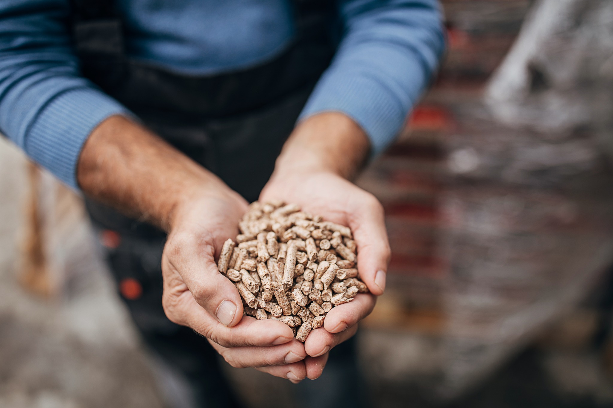 Pellet introvabile a Cagliari, scaffali vuoti quasi ovunque anche in provincia: un sacco da 15 chili a 6,50 euro