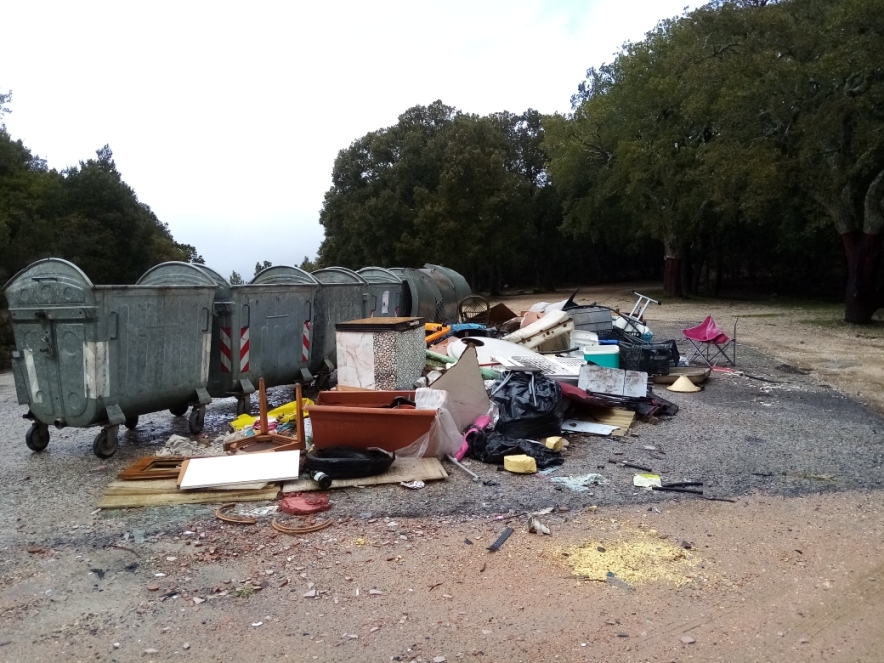 Una discarica abusiva nella foresta del massiccio dei Sette Fratelli