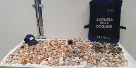Cagliari, 700 conchiglie sequestrate in aeroporto: provenivano da Bosa e dal Poetto