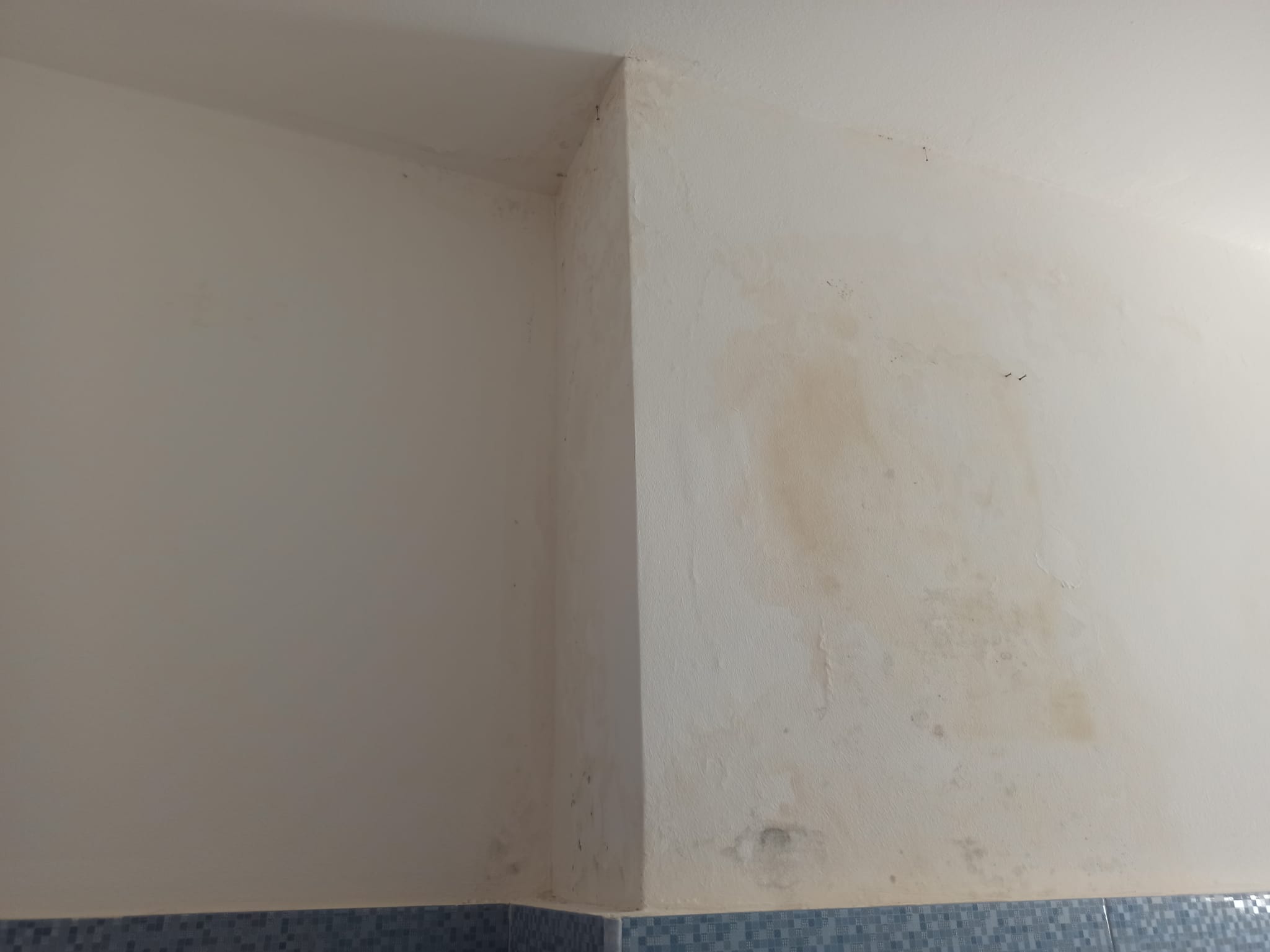 Cagliari, l’sos dalla casa popolare: “Lavori pagati 16mila euro e c’è un’infiltrazione, abbandonato da Area”