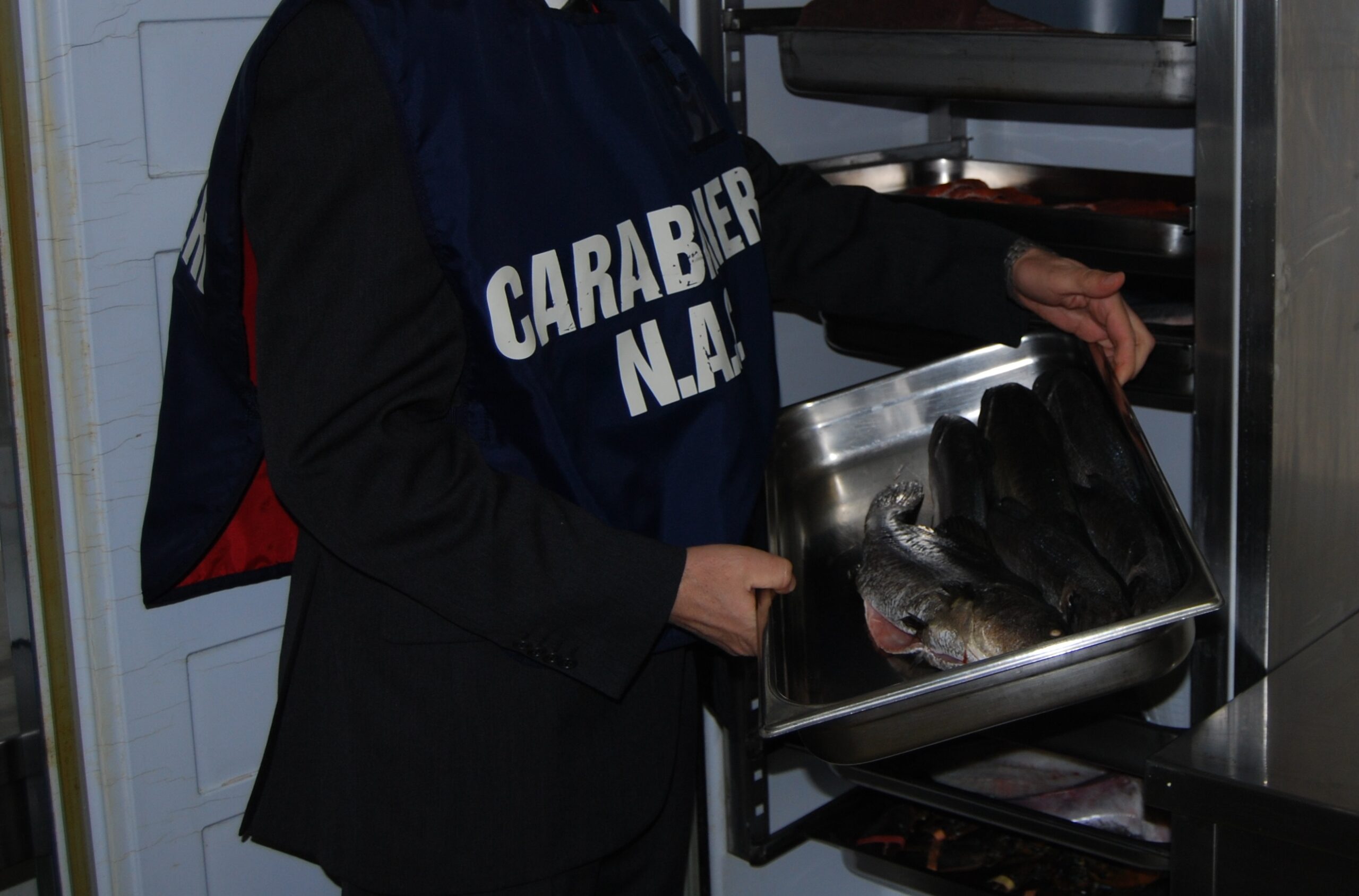 Sushi senza tracciabilità e scheda di abbattimento, sequestro a Cagliari