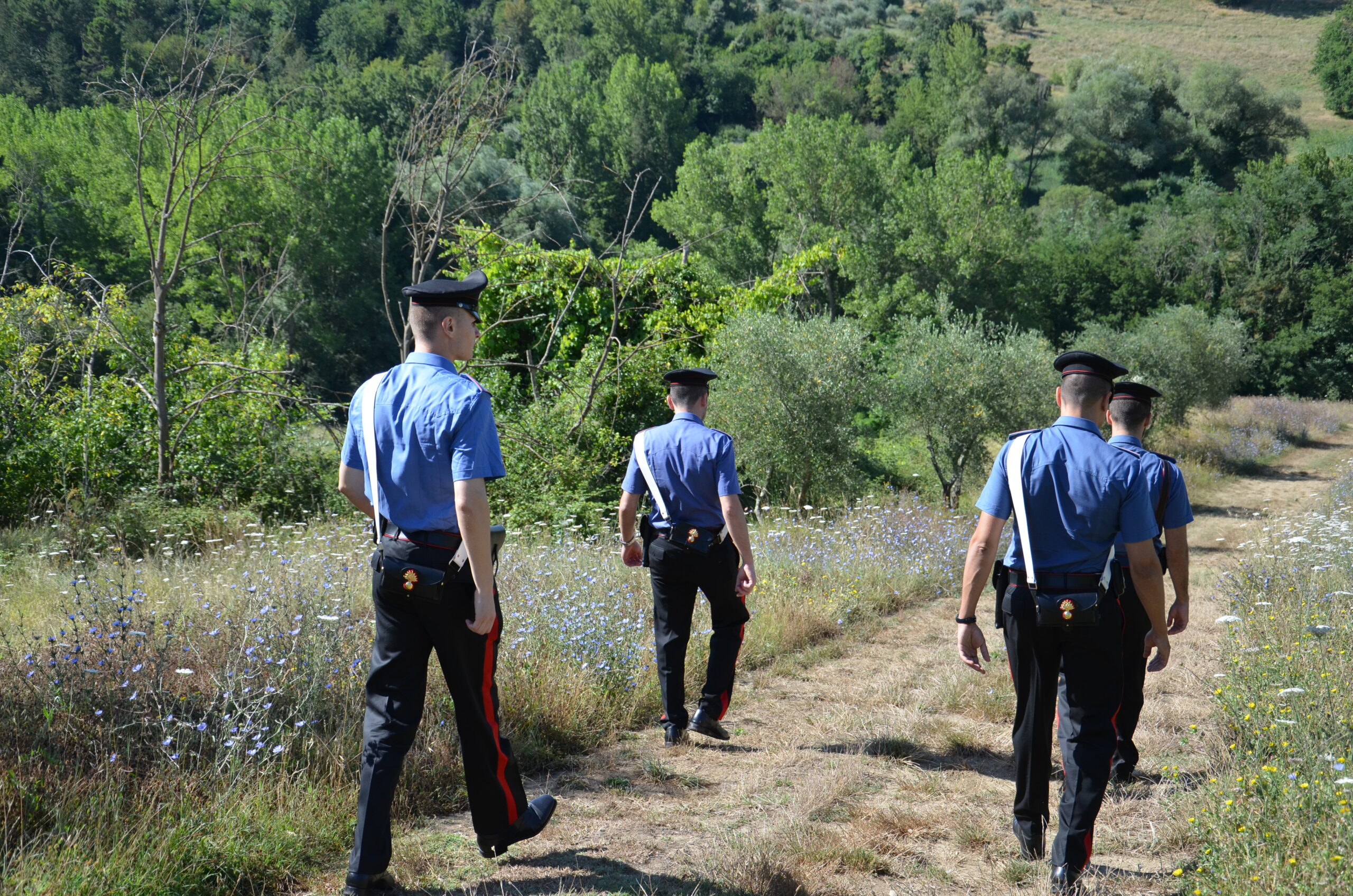 Vasto incendio in un terreno a Pabillonis, malore per il proprietario: intervengono carabinieri, forestali e vigili del fuoco