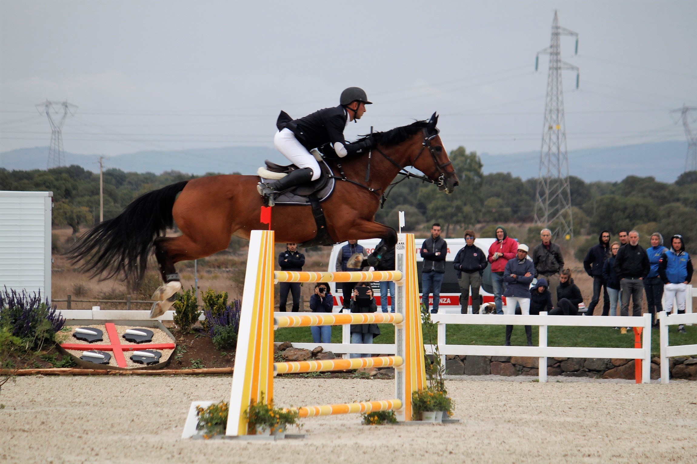 Sport equestri: l’accordo tra Sardegna e Corsica riduce i costi per le gare
