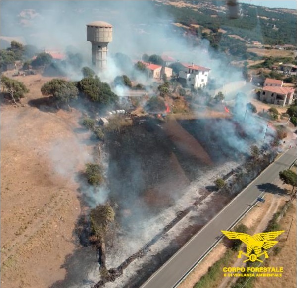 Sardegna flagellata dal caldo e dalle fiamme, 17 incendi devastano pascoli e boschi