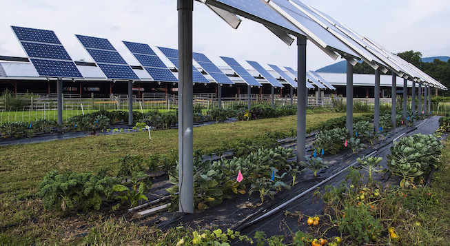 L’Agro-fotovoltaico: una soluzione sostenibile