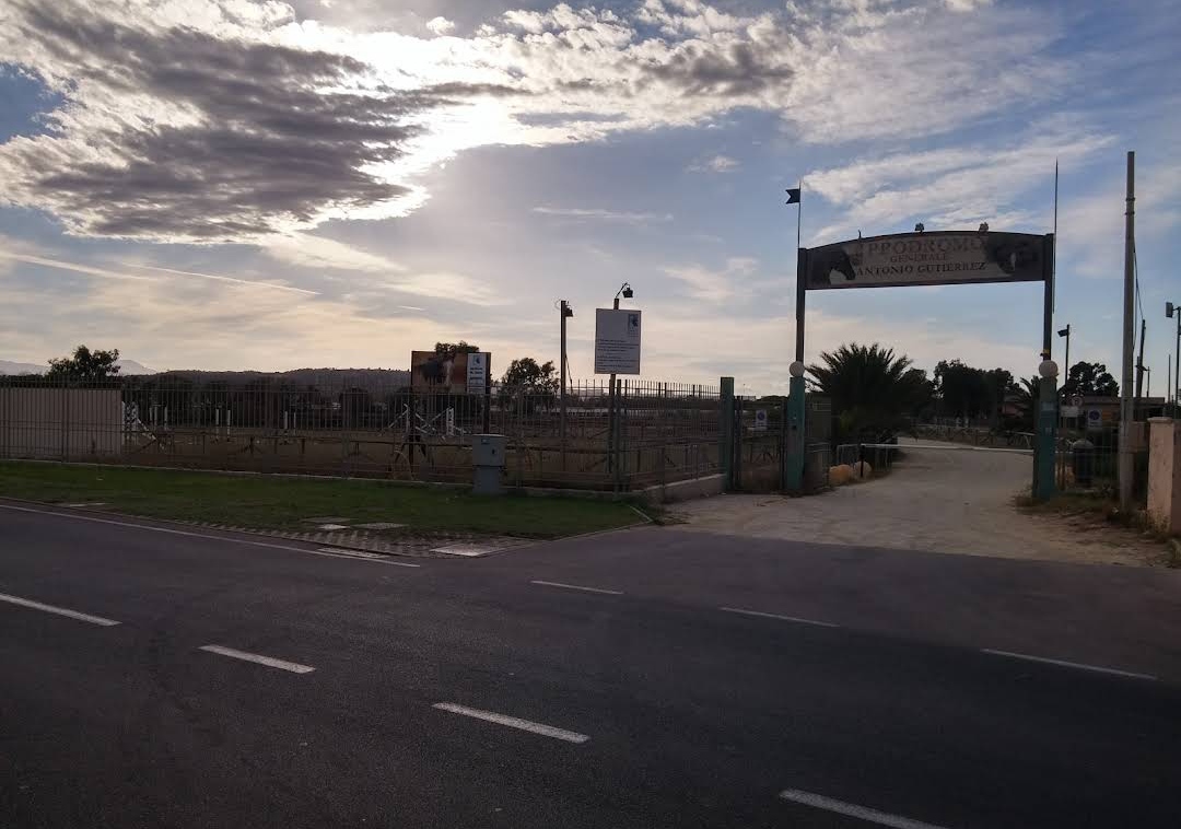 A Cagliari Max Gazzè e Nomadi, i concerti del futuro all’Ippodromo: “Ha tutte le caratteristiche adatte”
