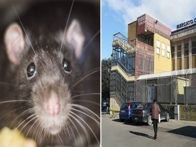 Cagliari, rivolta al mercato di via Quirra: “Per un topo il Comune non fa lavorare 150 famiglie”