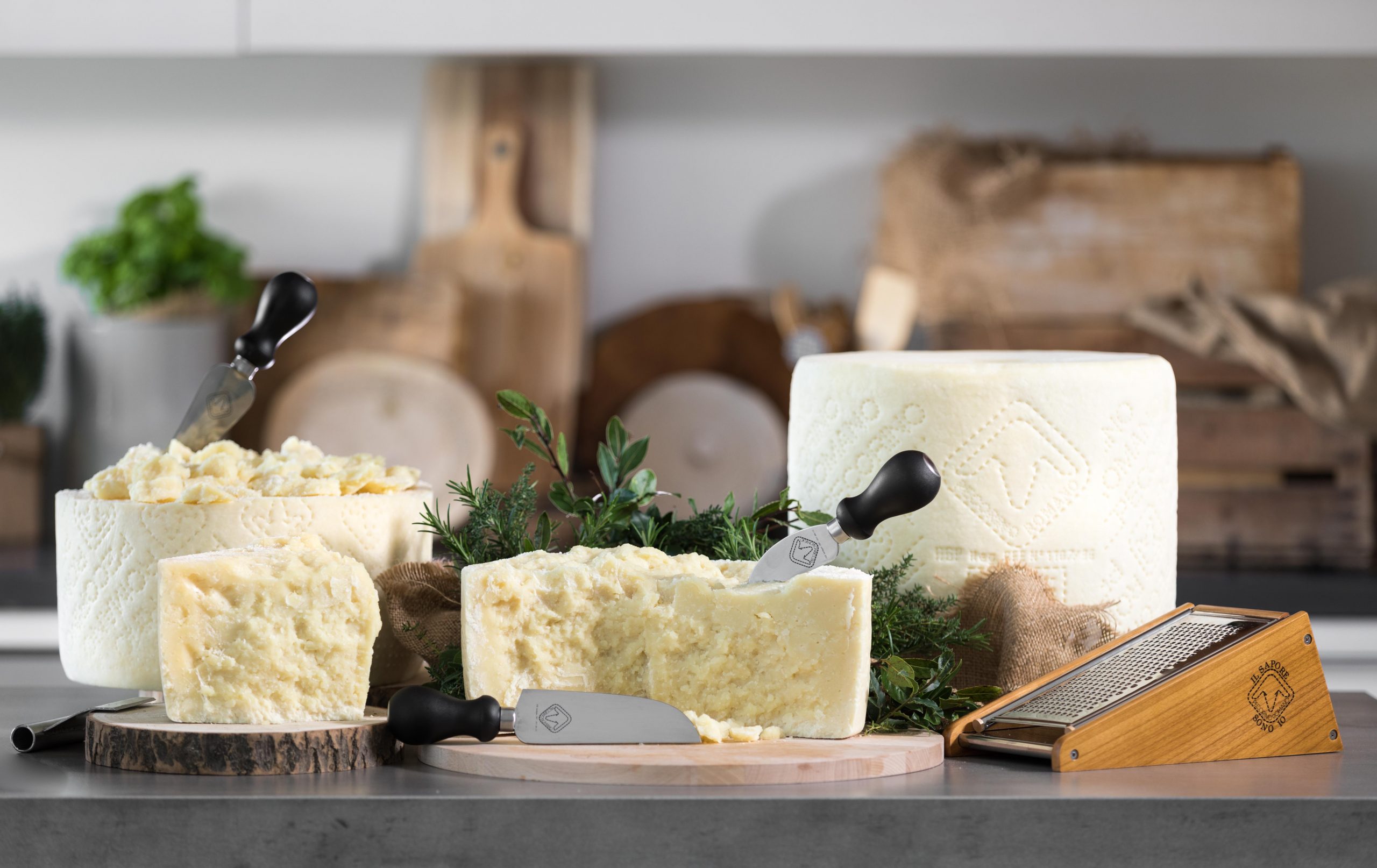 Pecorino Romano, Sos alla politica: “L’agroalimentare ignorato da candidati e programmi elettorali”