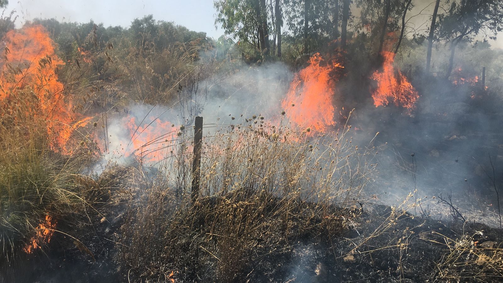 Caldo senza fine, ritorna il pericolo di incendio alto su tutta la Sardegna meridionale