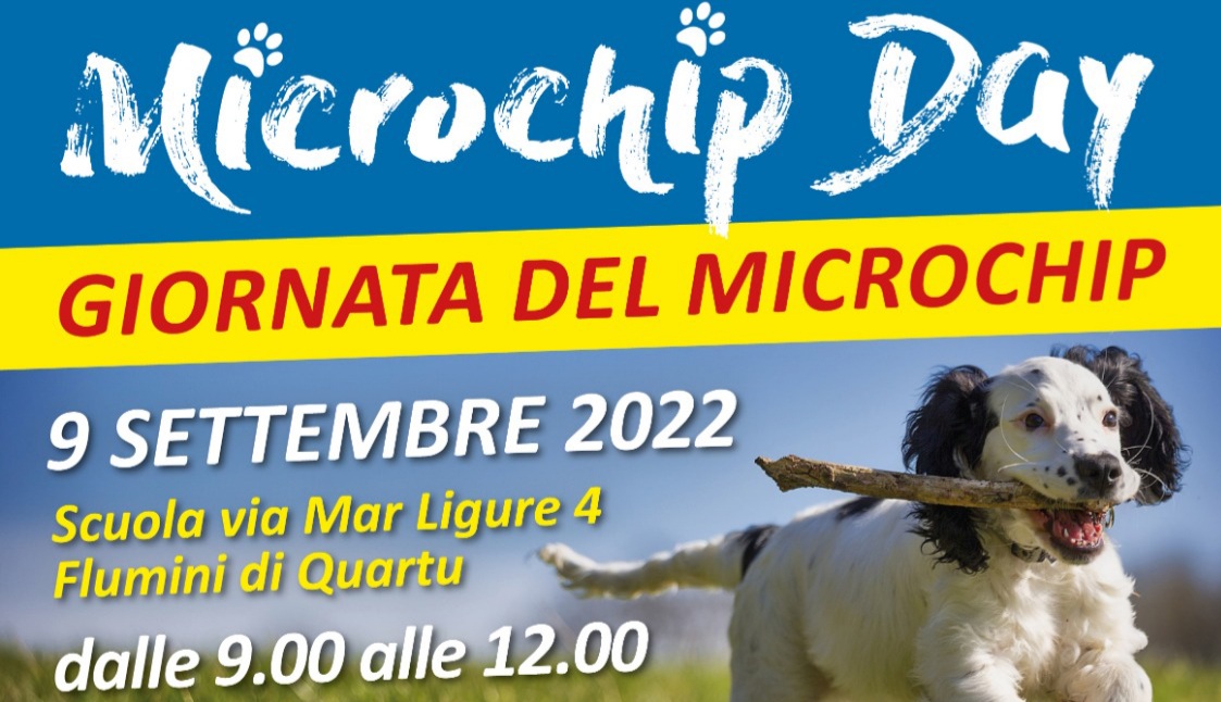Quartu, microchip gratuito e campagna per l’adozione degli amici a quattro zampe: ecco quando