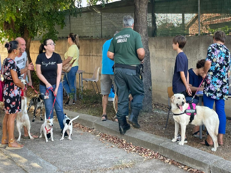 Cani protetti a Quartu, successo per il microchip day: “Così combattiamo abbandono e randagismo”