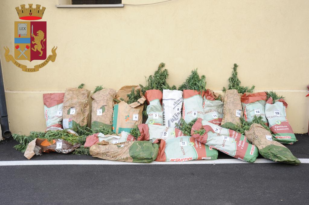 Viaggiava con 60 kg di droga nel furgone, allevatore arrestato in Sardegna dopo un folle inseguimento