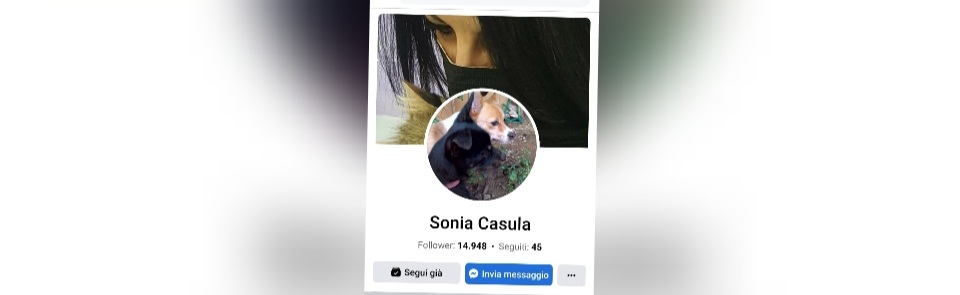 Sos a Radio Zampetta Sarda, rubata la pagina Fb: “Non posso più aiutare i mici bisognosi”