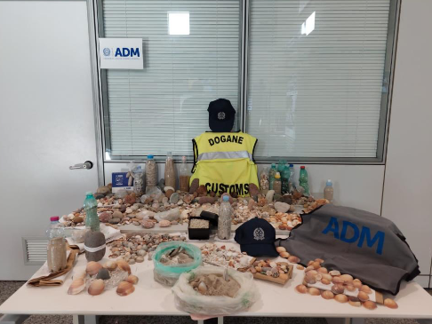 Razzia nelle spiagge dell’Isola: trovati 19 kg di sabbia e 23 kg di ciottoli tra i bagagli nell’aeroporto di Alghero