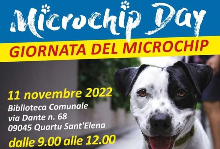 Quartu, giornata per l’applicazione gratuita del Microchip e dell’iscrizione all’anagrafe canina