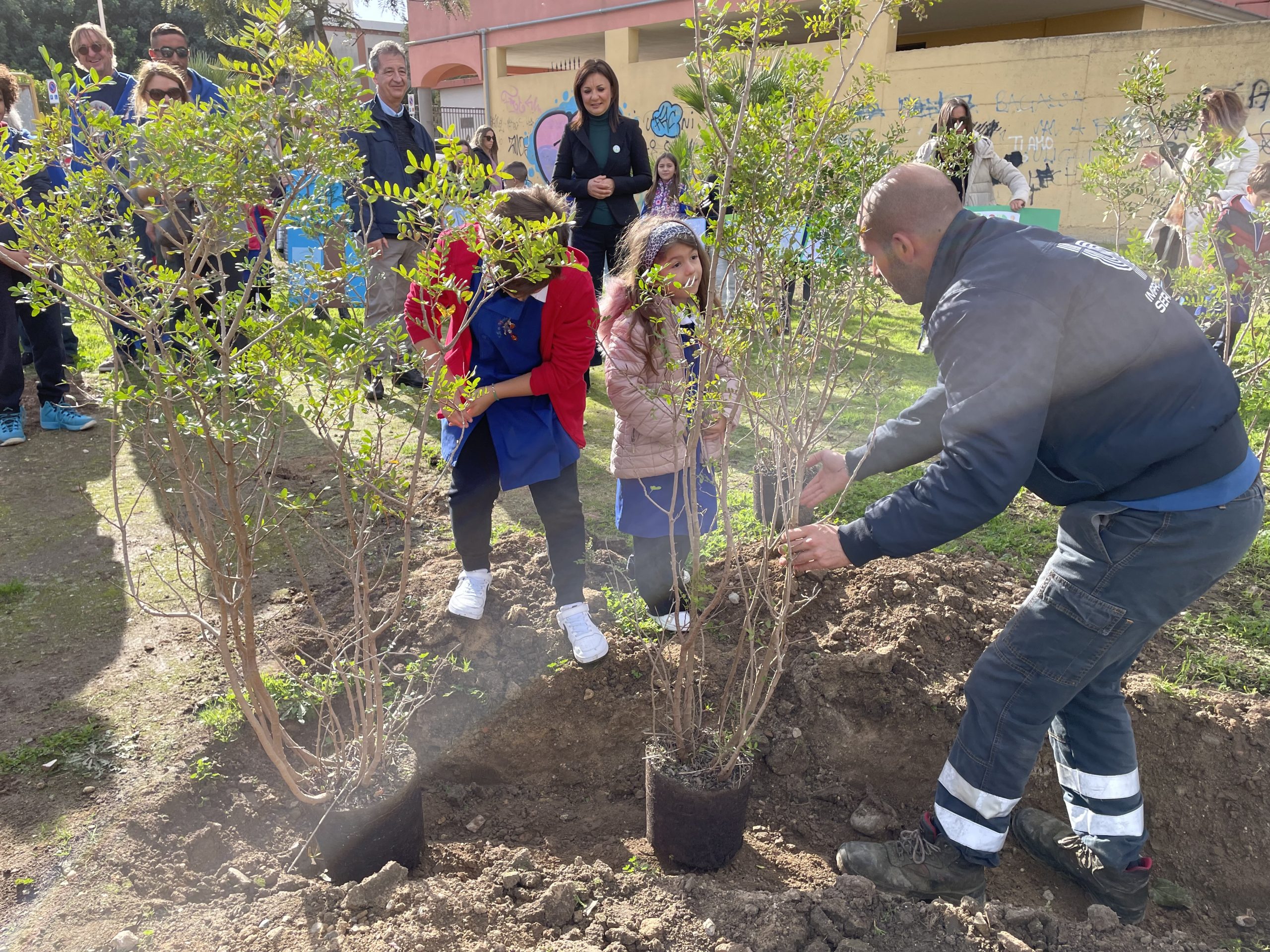 A Quartu 2000 alberi nuovi dal centro a Flumini: “Addio a 420 tonnellate di anidride carbonica”