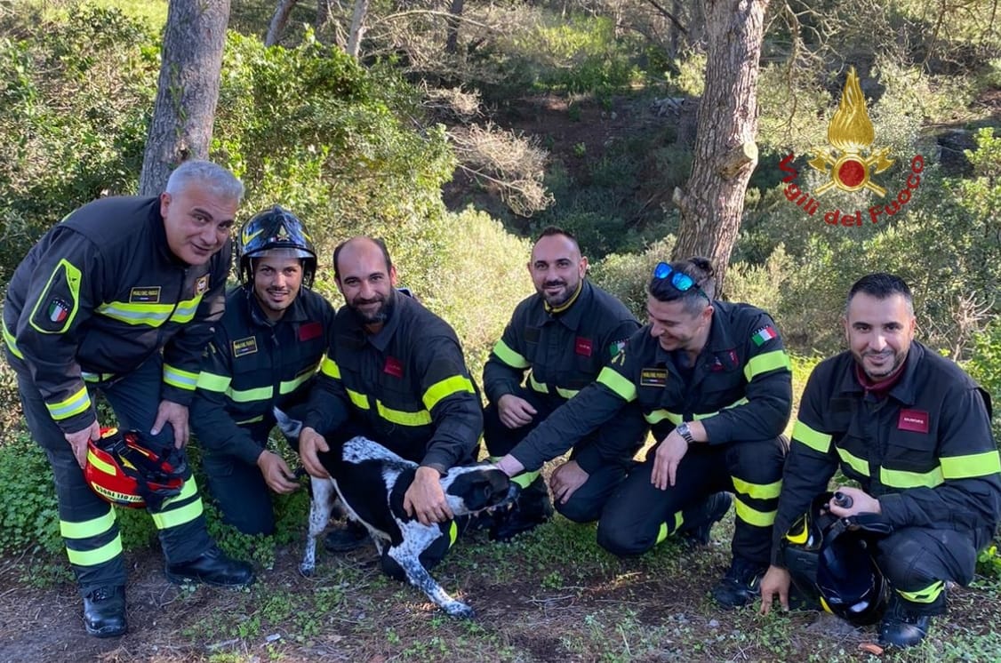Carloforte, si infila nel tunnel di una miniera e resta intrappolato: cagnolino salvato dai Vigili del fuoco