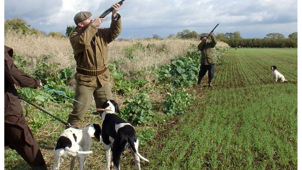 Sardegna, il Consiglio di Stato boccia gli ambientalisti: ok alla caccia anche il 6 gennaio