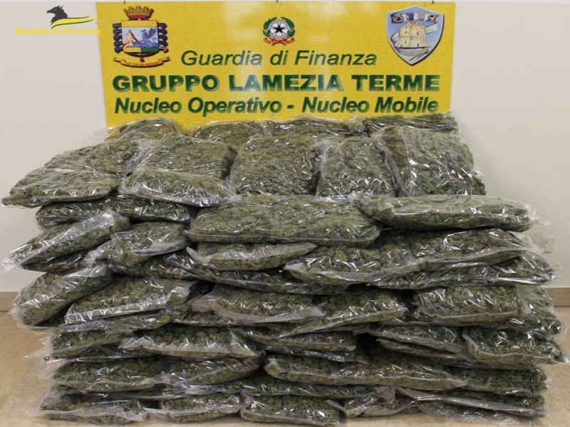 Maxi sequestro di droga in Calabria, 55 chili di marijuana spediti dalla Sardegna