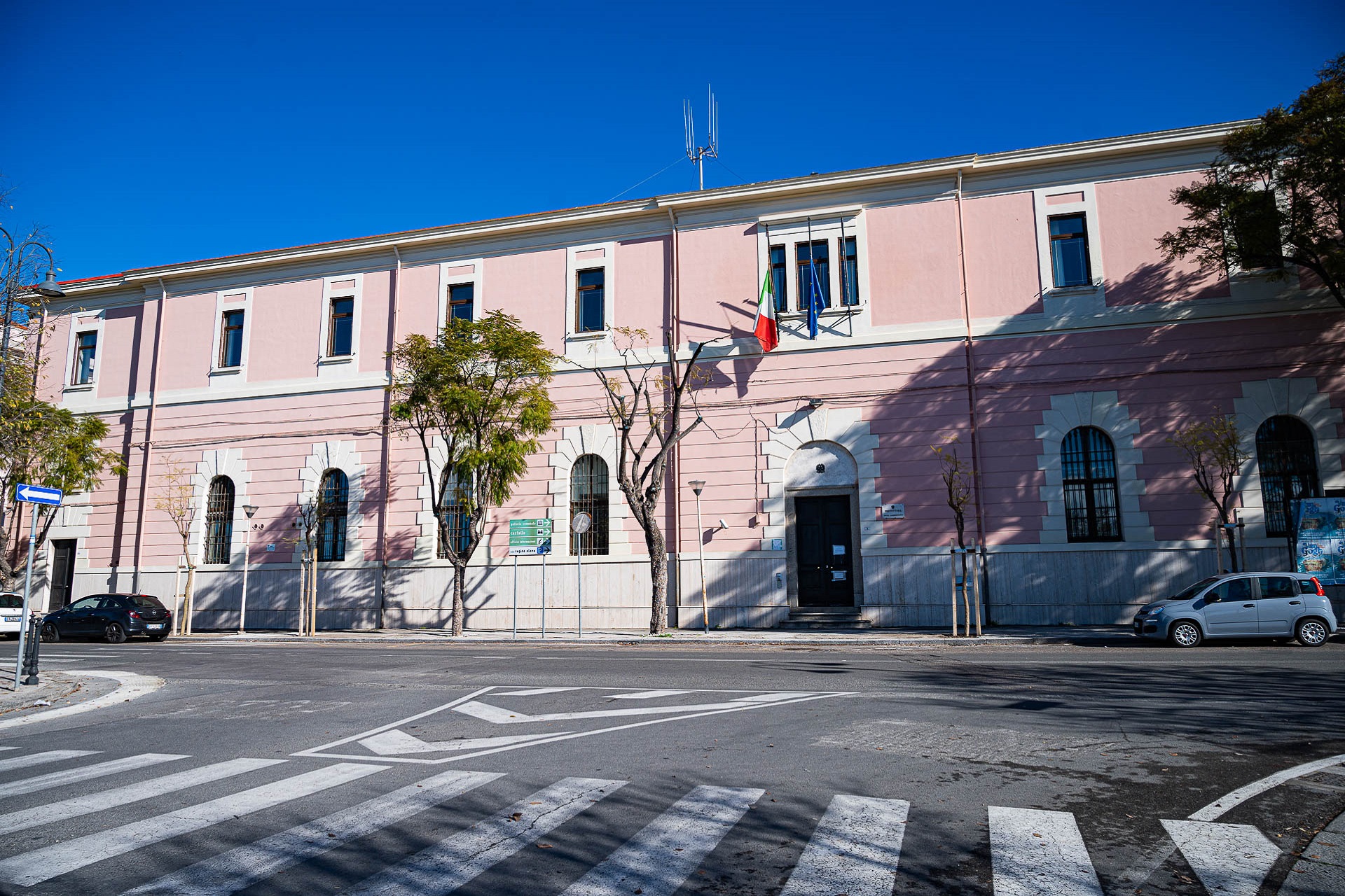 Sei nuove Jacaranda nel viale Buoncammino delle polemiche sul verde  a Cagliari
