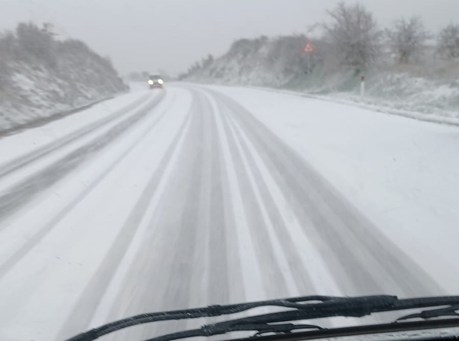 Nevicate in Sardegna e disagi: strade impraticabili, assenza di luce e animali senza foraggio