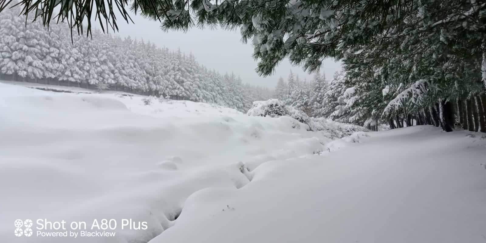 Barbagia coperta di neve, isolata e senza corrente elettrica: linee telefoniche ko e 15 ore di blackout