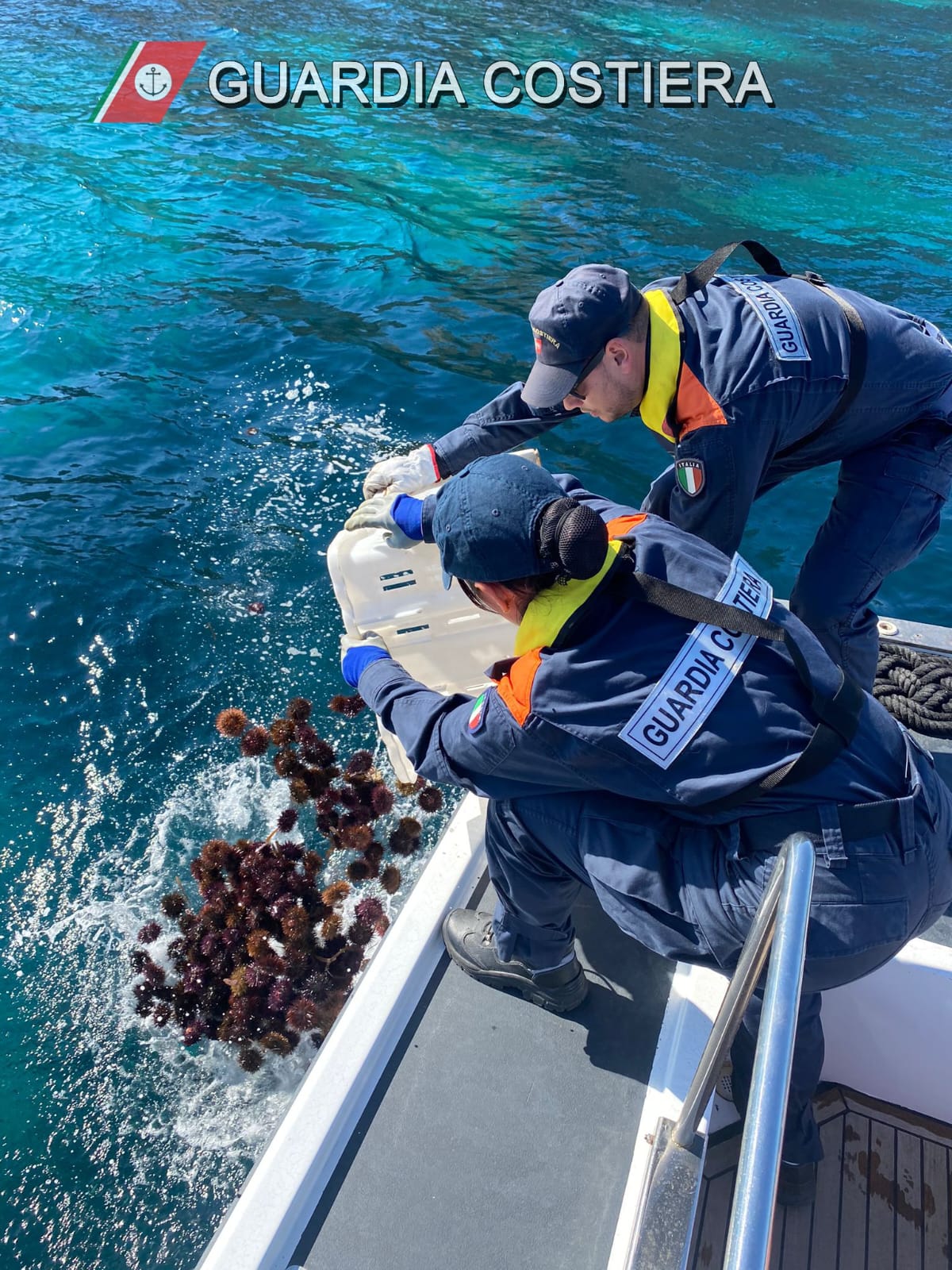 Cagliari, ricci di mare e pesce non a norma: stangata per un circolo privato