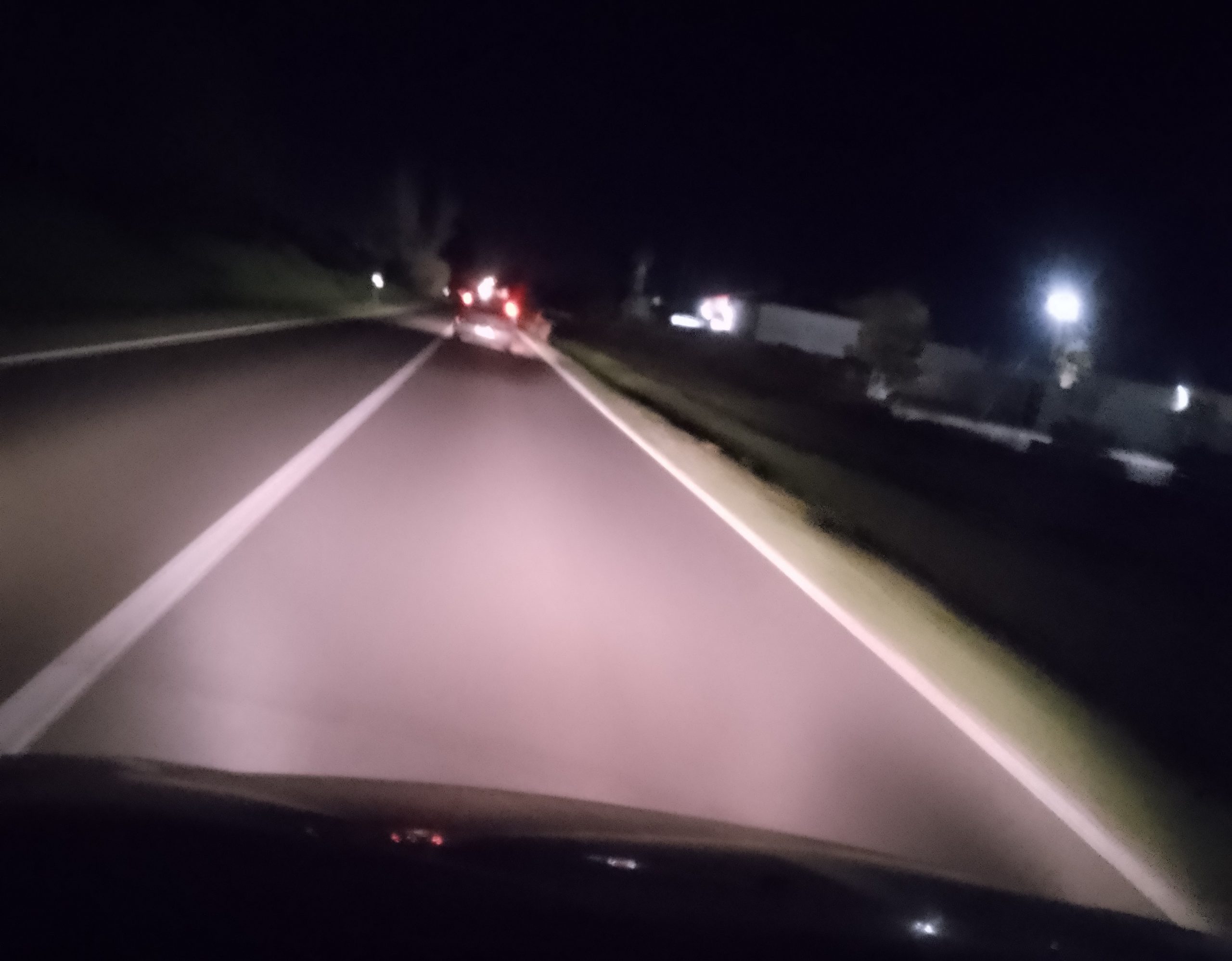 Vagava tra Samassi e Serramanna: cane di grossa taglia travolto e ucciso da un’auto sulla provinciale