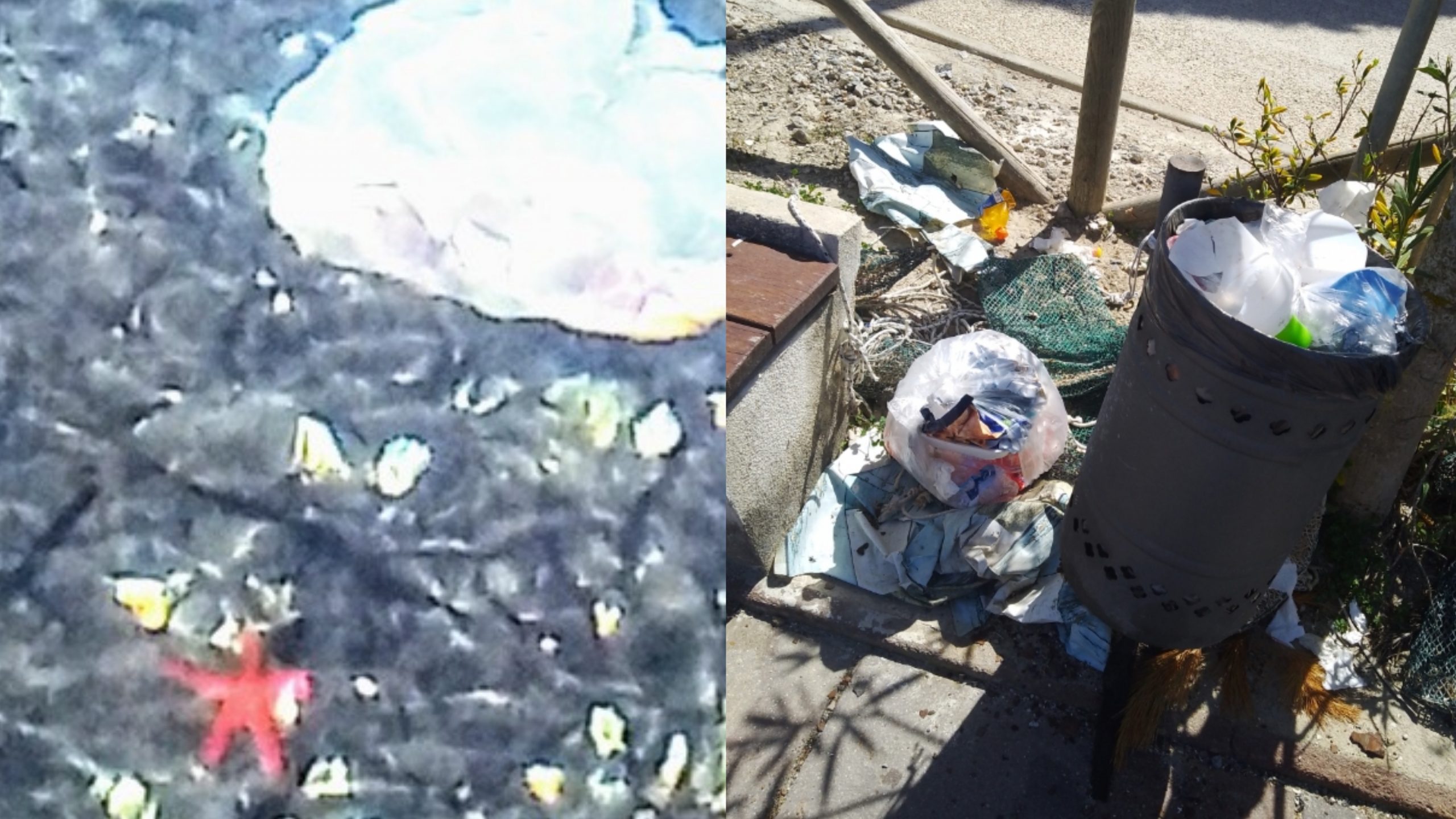 Immondizia a Porto Pino, stelle di mare tra le buste dei rifiuti