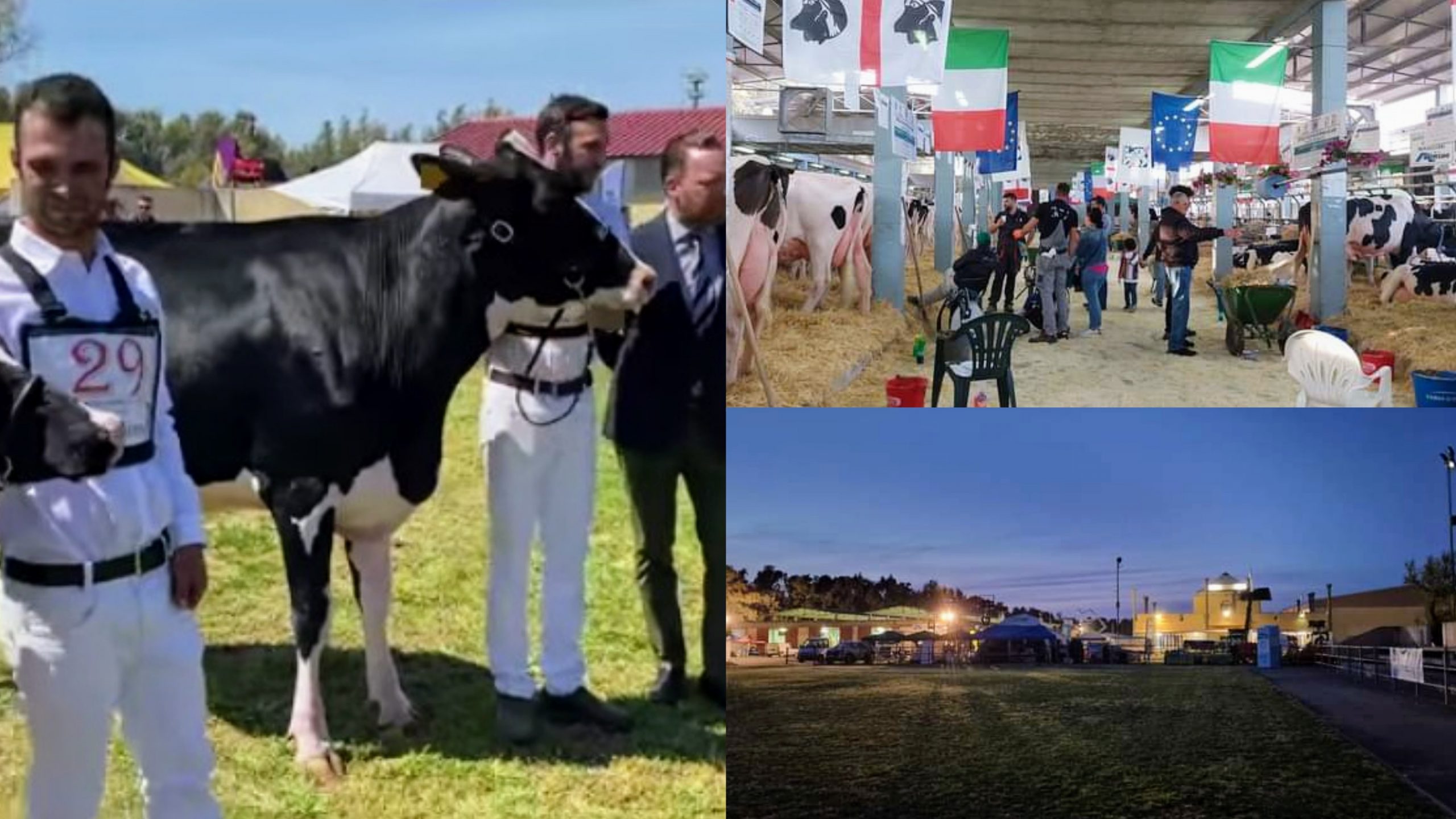 Arborea, inaugurata la Fiera dell’Agricoltura: oggi si replica con la Sagra della Fragola
