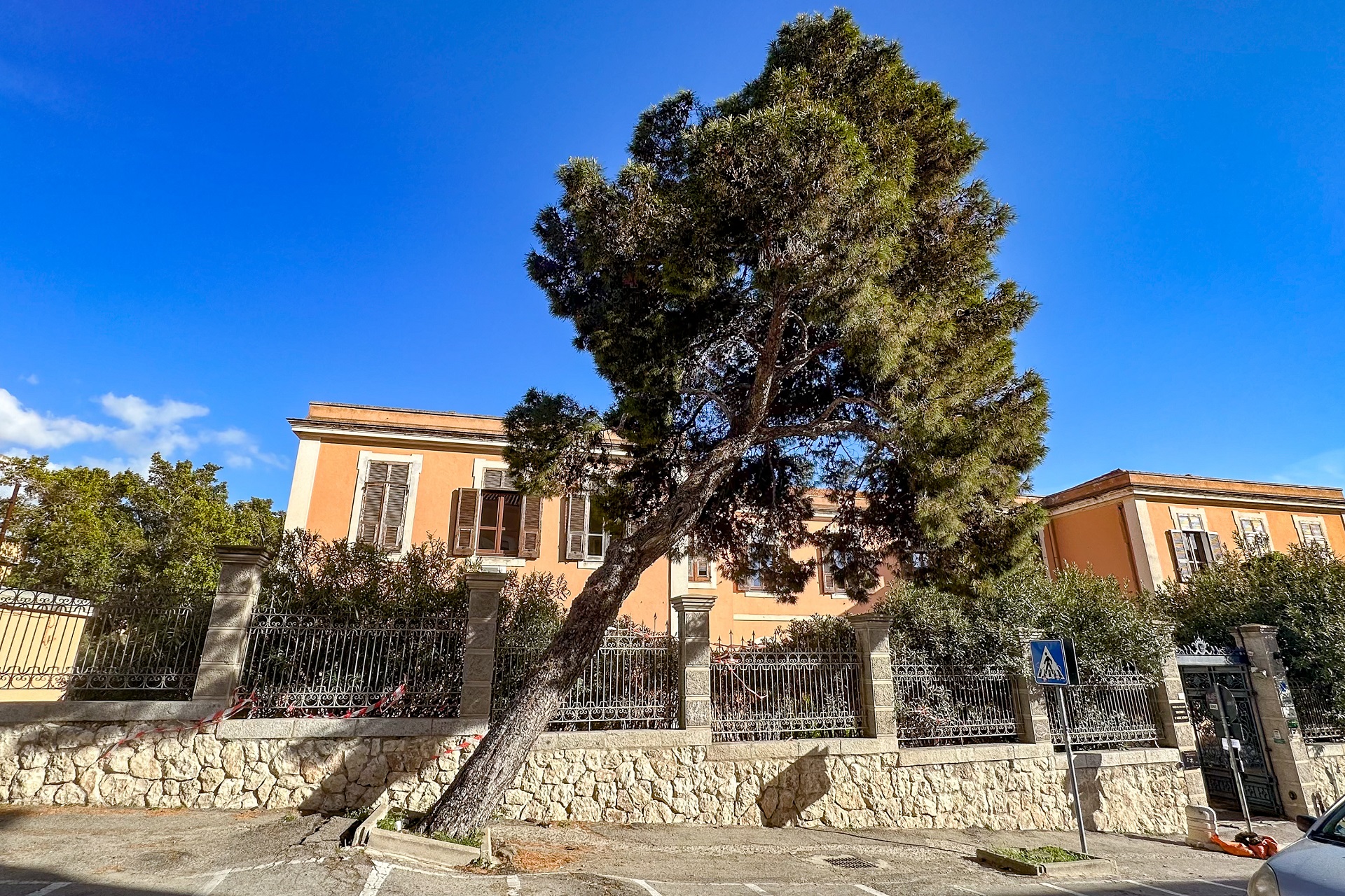 Viale Sant’Ignazio, il grosso pino è instabile: oggi sarà abbattuto