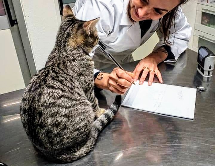 Sanluri, ha riaperto al pubblico l’ambulatorio di Maristella Tinti