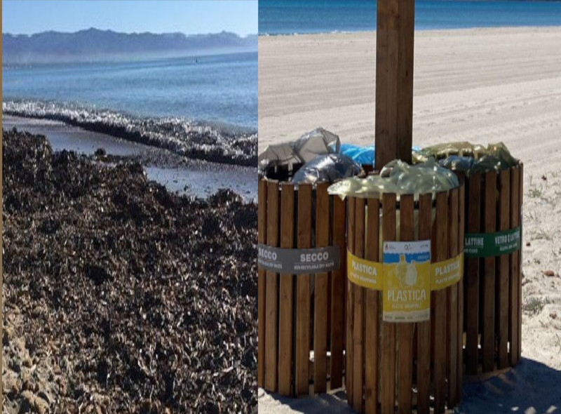 Quartu, al Poetto 3 aree per depositare i cumuli di alghe e tornano le isole ecologiche