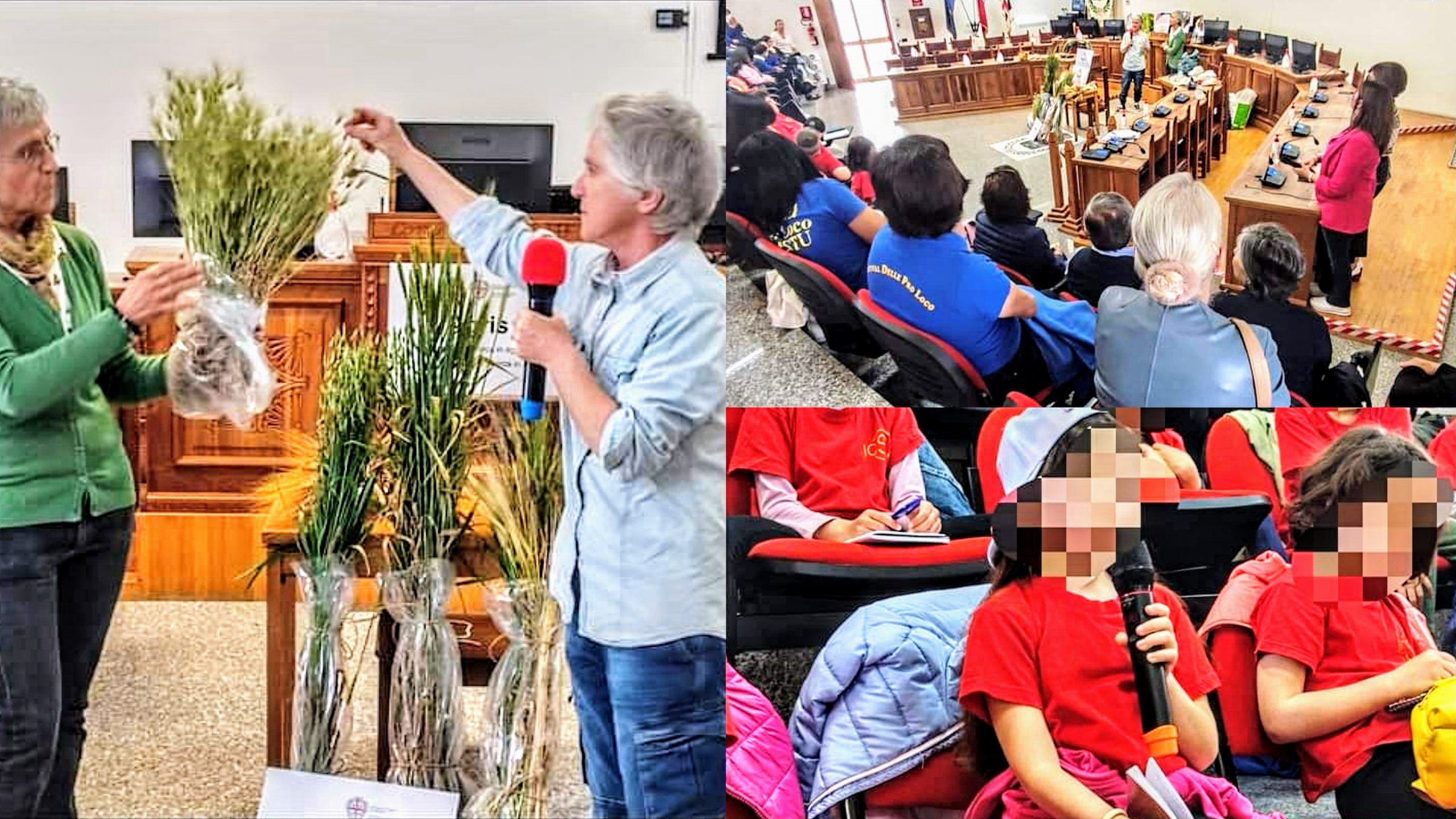 Sestu, dopo l’arte della panificazione a scuola si studiano e si maneggiano i cereali