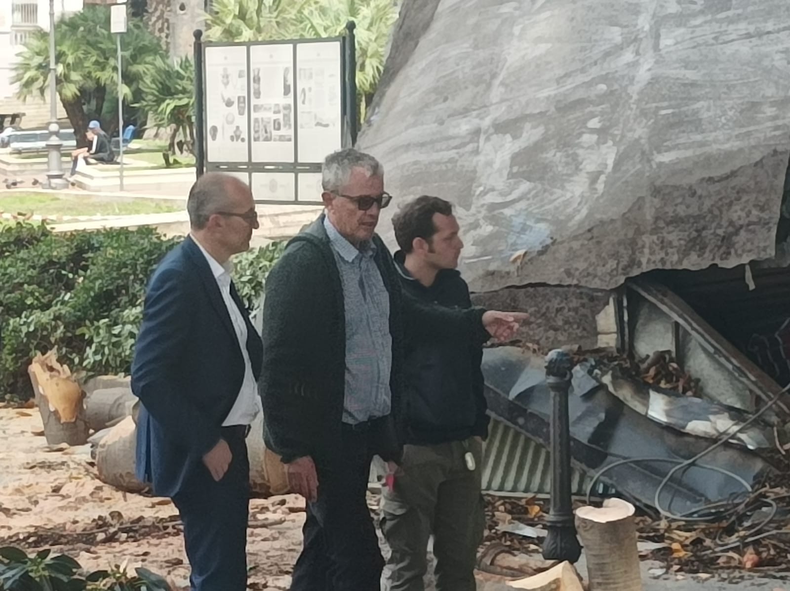 Ficus crollato a Cagliari, Truzzu: “Era un albero vecchio, il cantiere di via Roma è distante e non c’entra”