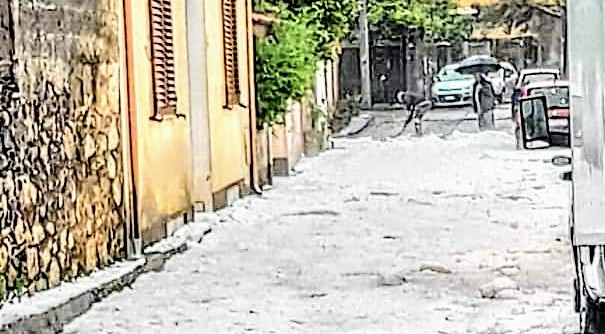 A Gonnosfanadiga si spala grandine: paesaggio imbiancato come se fosse Natale