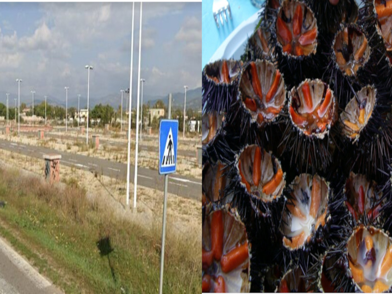 Rivoluzione al Poetto e Flumini di Quartu: tornano i ricciai e nuovo mercato con sagre e degustazioni